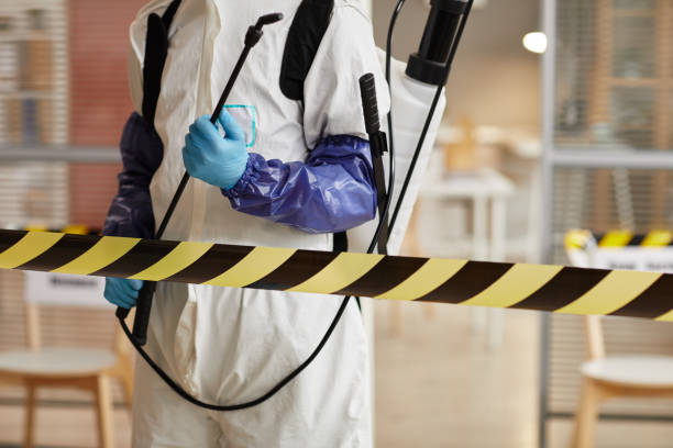 Professional Sewage Cleanup technician working in Monroe, MI